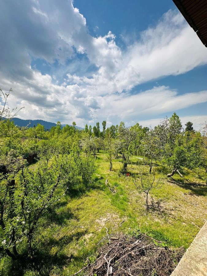 Sheen Homestay Gulmarg Bagian luar foto